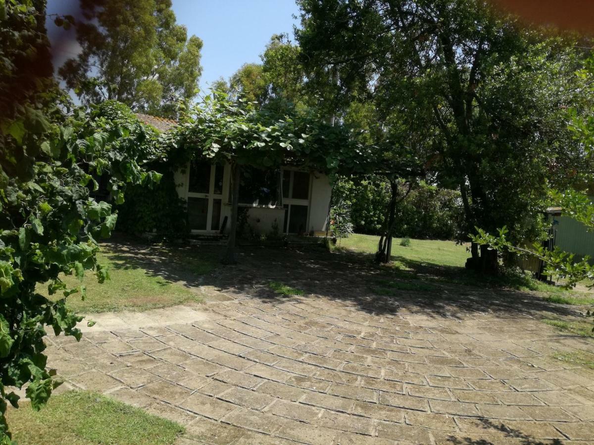 Poderi Di Tragliatella Dış mekan fotoğraf