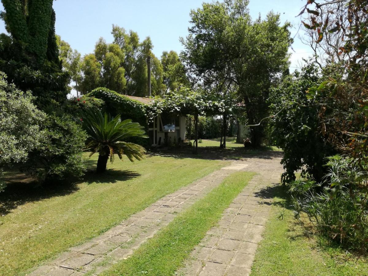 Poderi Di Tragliatella Dış mekan fotoğraf